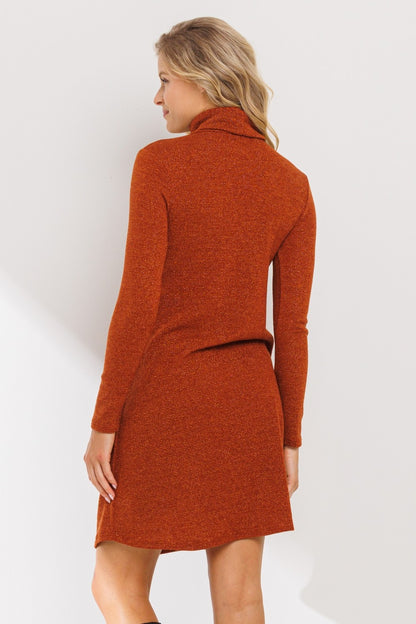 Amyra Maternity Dress
