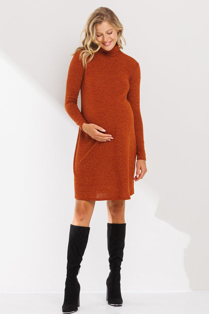Amyra Maternity Dress